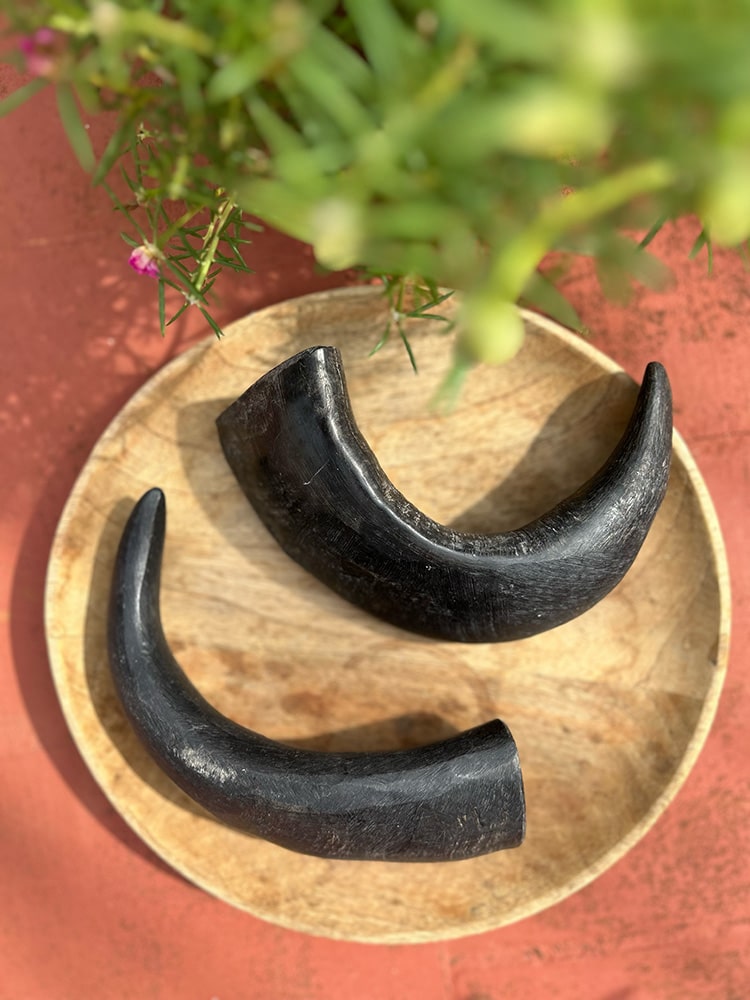 Horn Chew - natural & reusable Toppl / Kong alternative