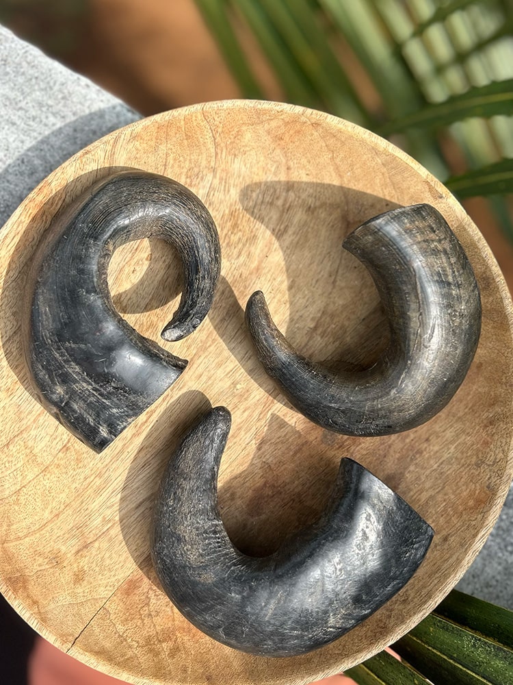 Horn Chew - natural & reusable Toppl / Kong alternative