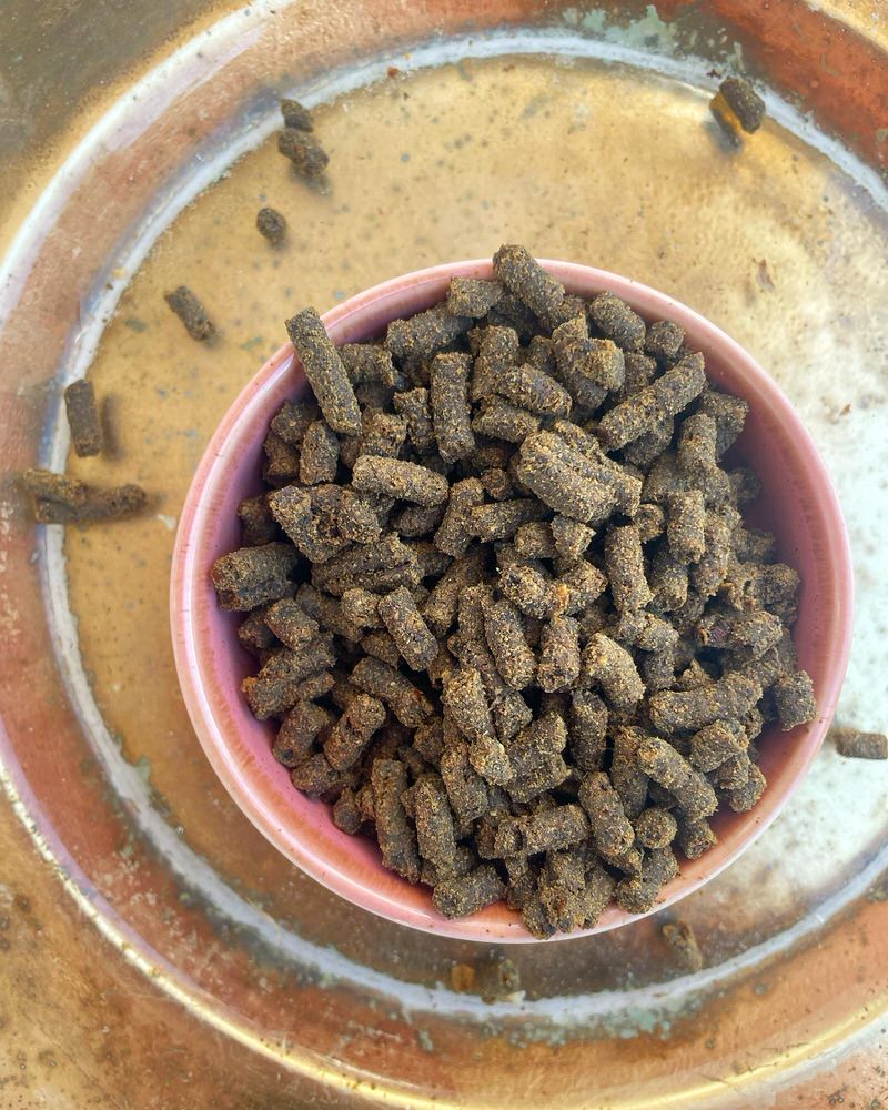 Insect Protein complete Meal & Toppers