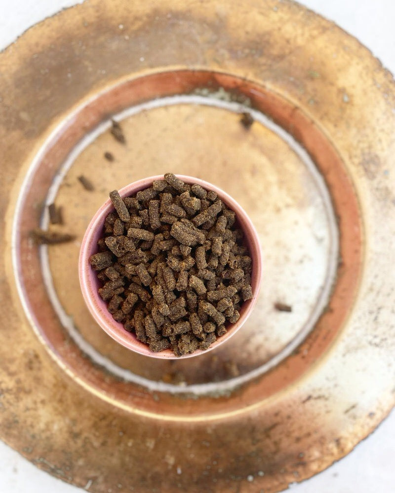Insect Protein complete Meal & Toppers
