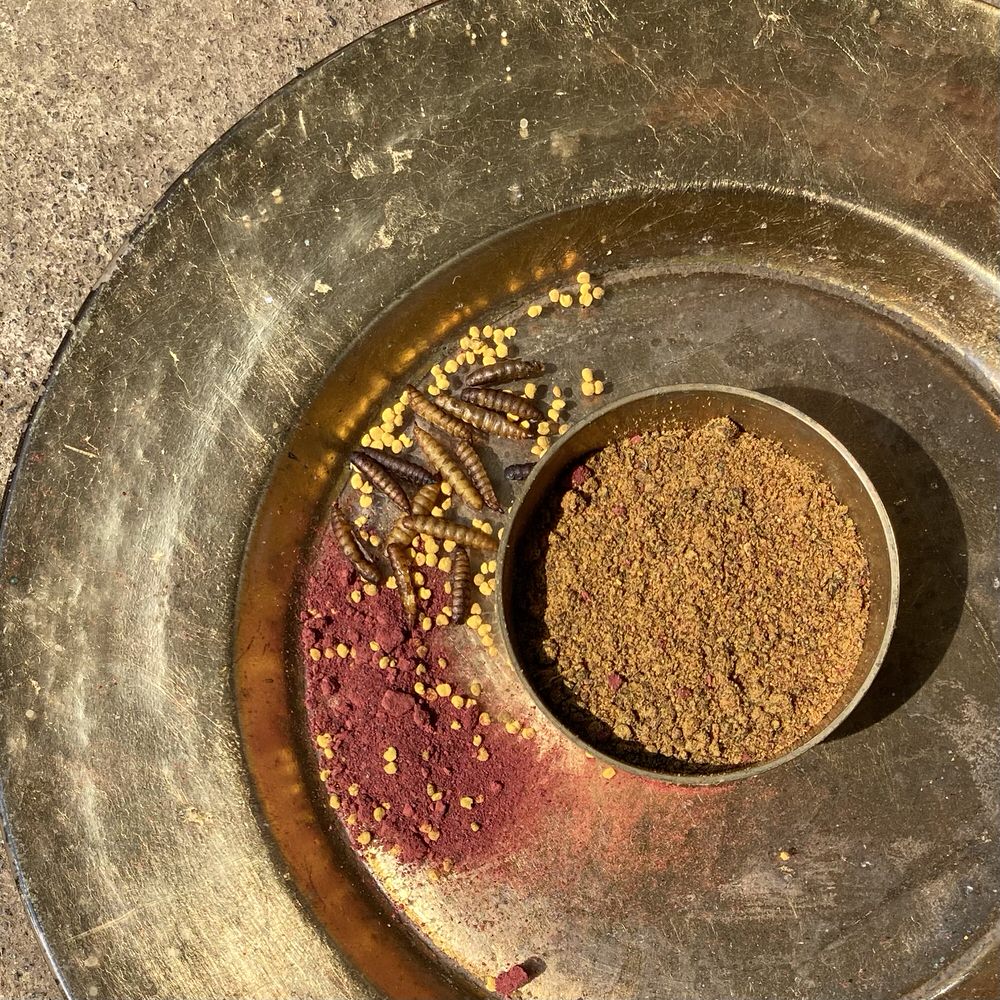 Insect Protein complete Meal & Toppers