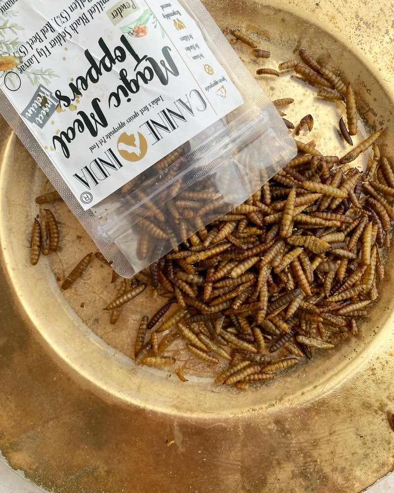 Insect Protein complete Meal & Toppers