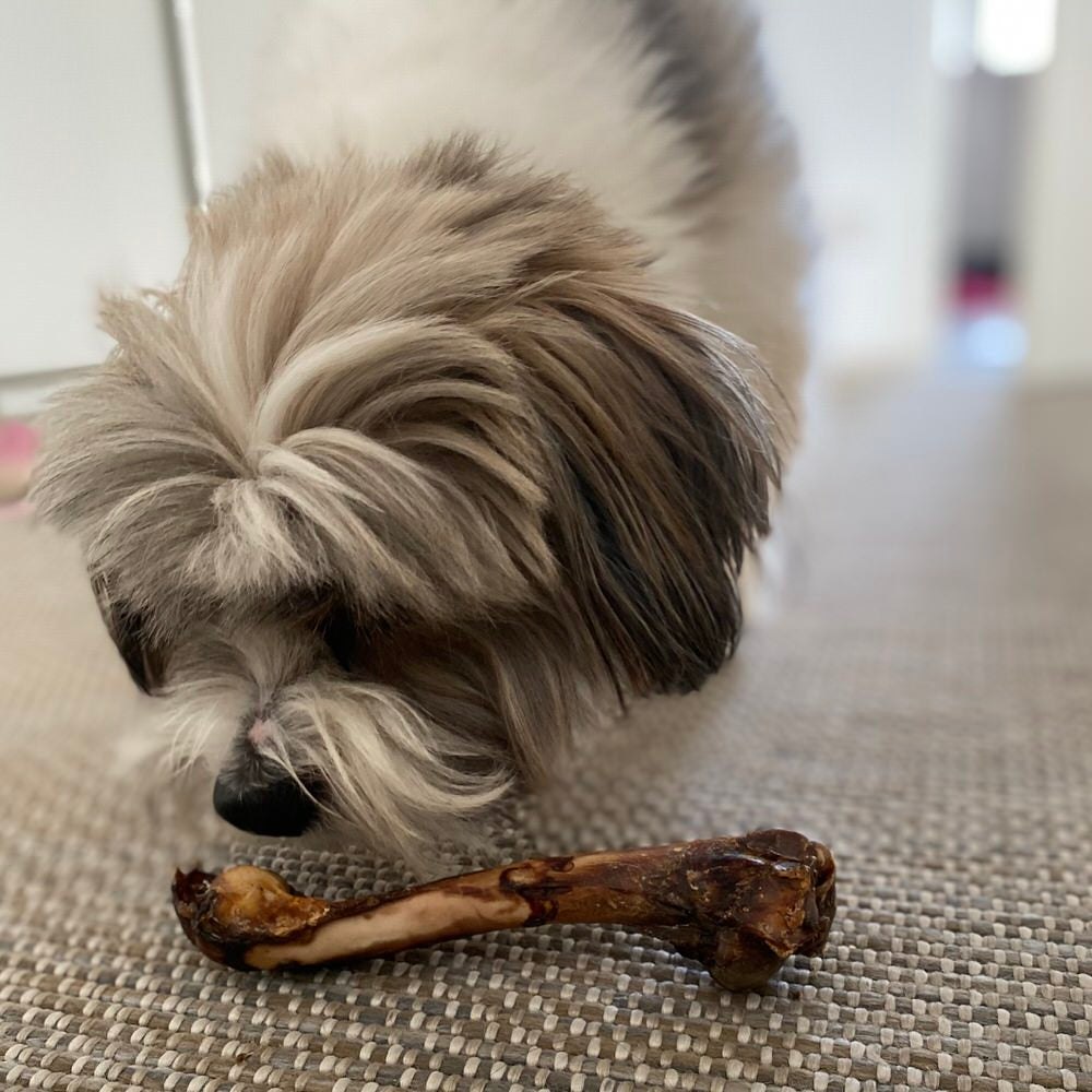 Lamb Shank - Goat Chewbone