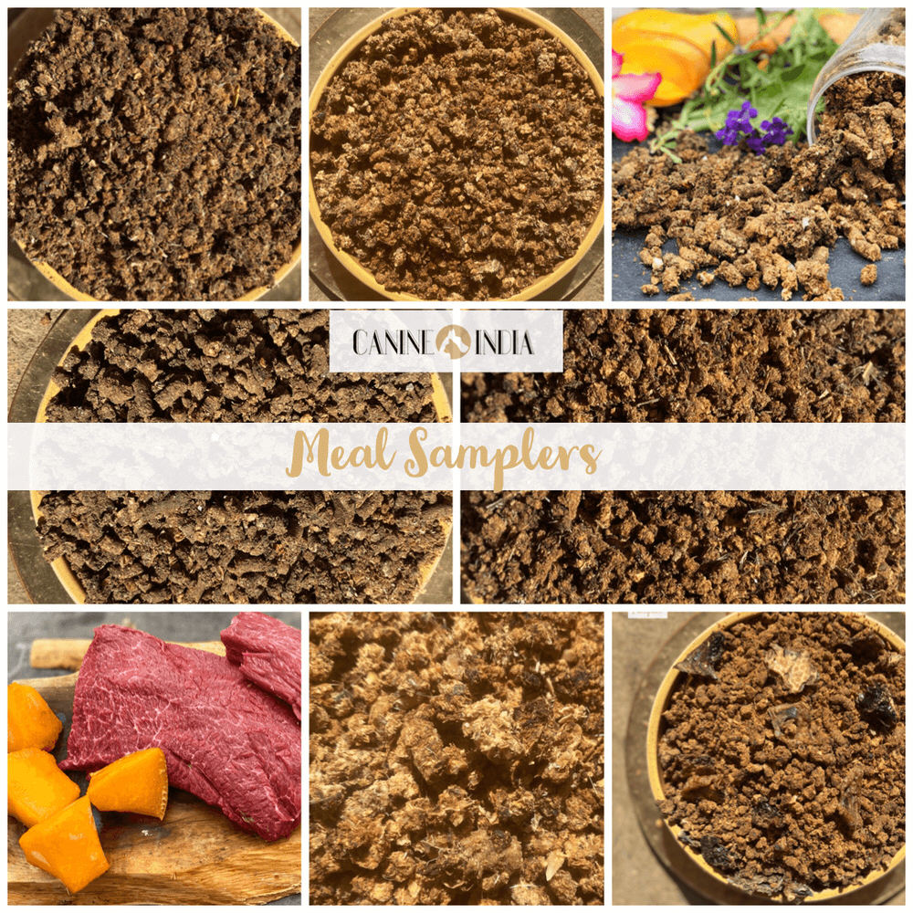 Meal Samplers | 50 grams