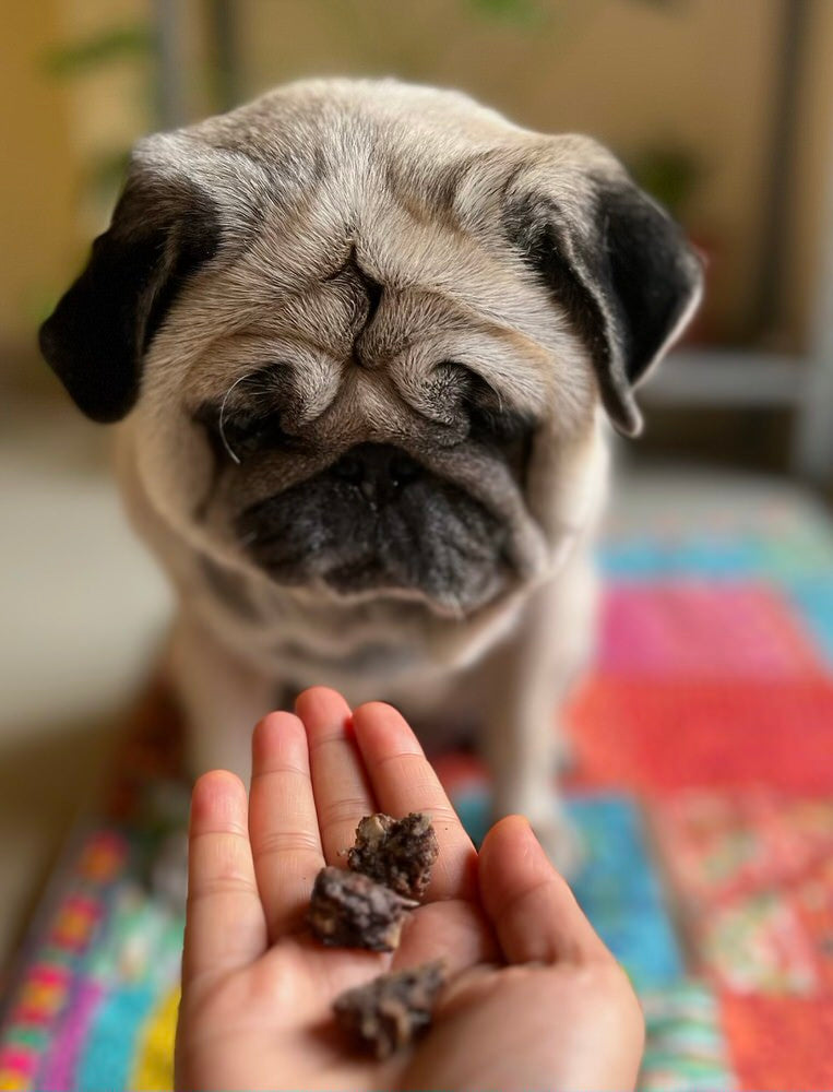 Monthly Treat Box