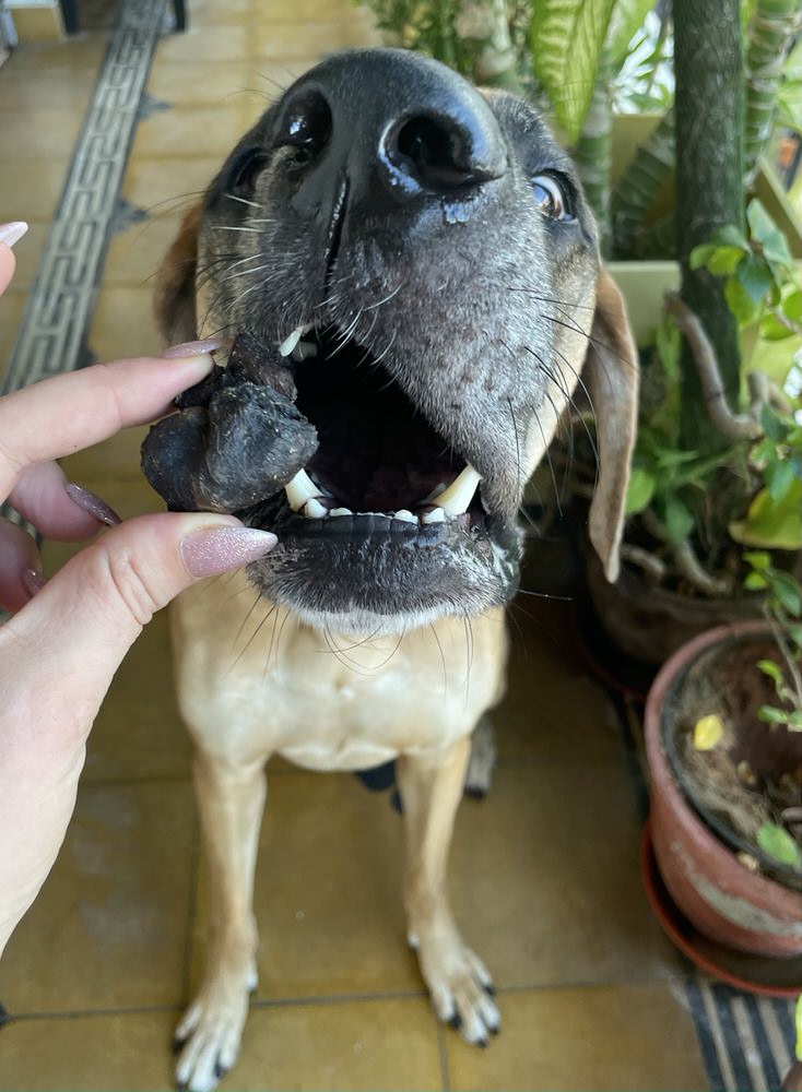 Monthly Treat Box