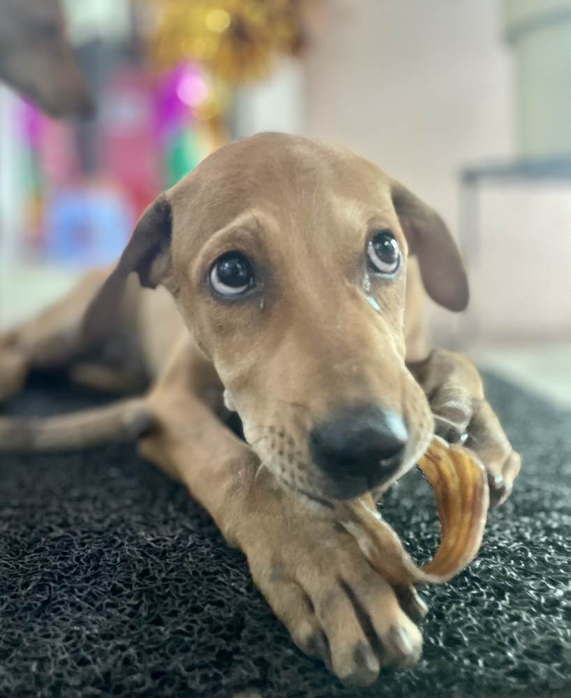 Monthly Treat Box