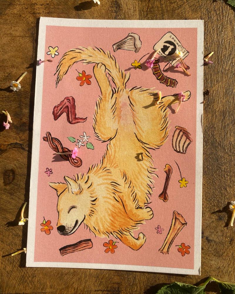 Postcard Set of 3 original Designs | Labonie Roy x CI