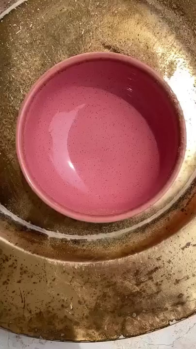Anti Tick & Shiny Coat Powder