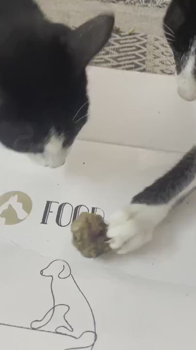 Crunchy Bites (Rabbit, Duck, Turkey & Cod)