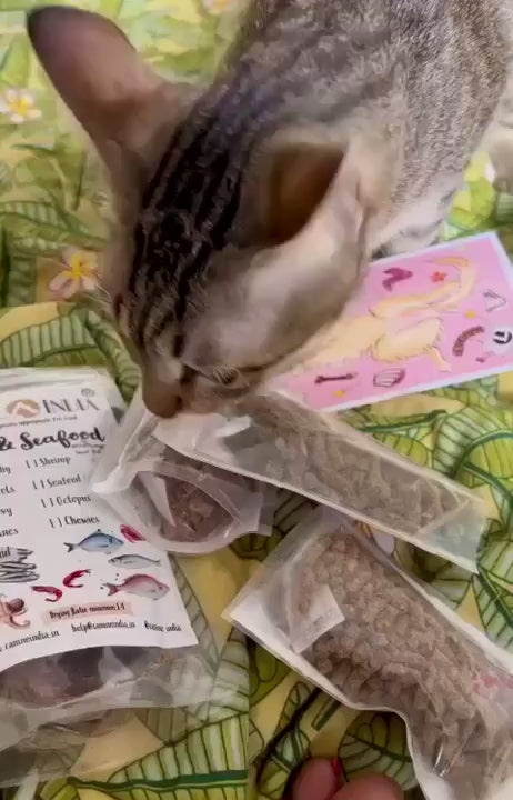 Feline Sampler or Giftbox