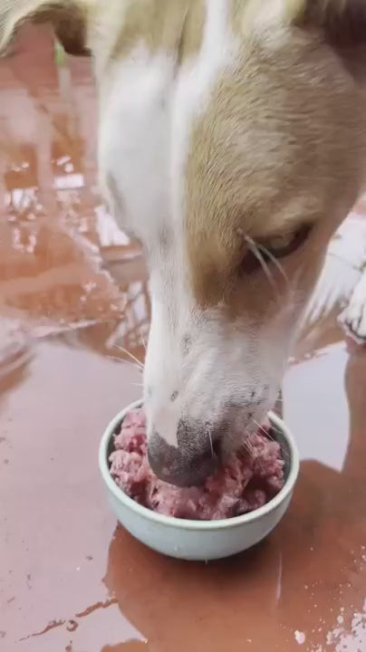 Chicken Mince