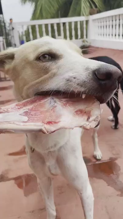 Goat Bones