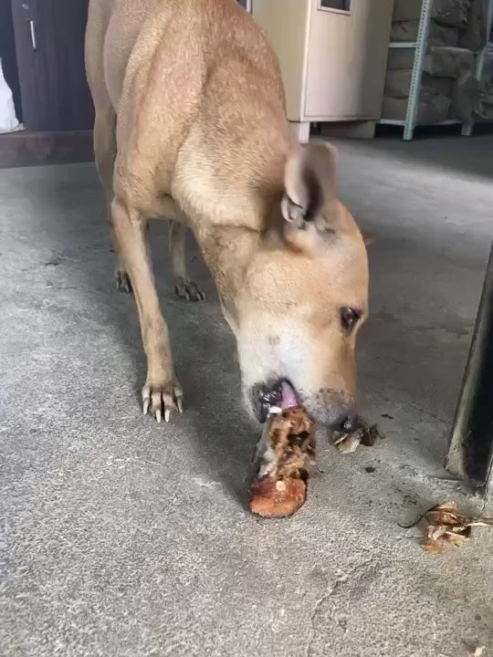 Shelter Pack - Salmon or Real Hide Chews