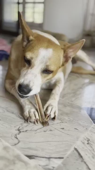 Turkey Classic Chewbones