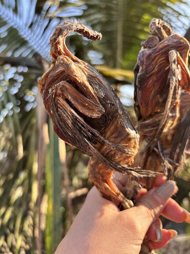 Quail Whole or Heads