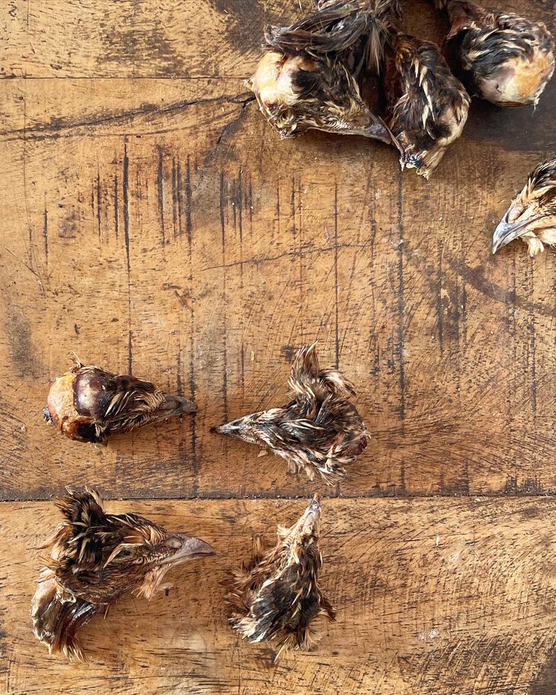 Quail Whole or Heads