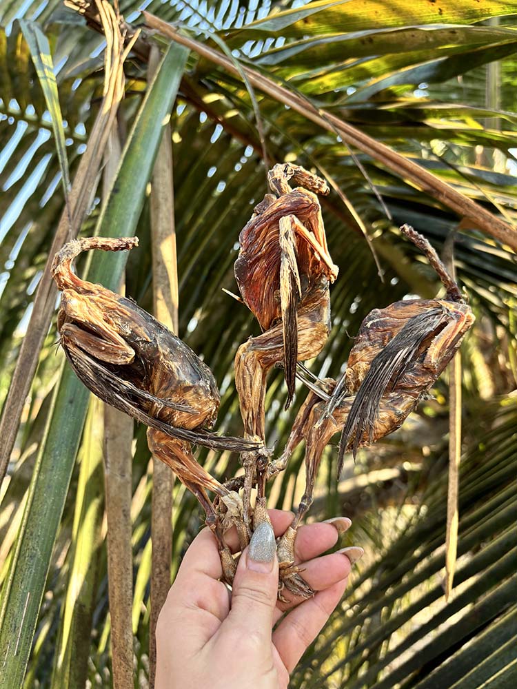 Quail Whole or Heads