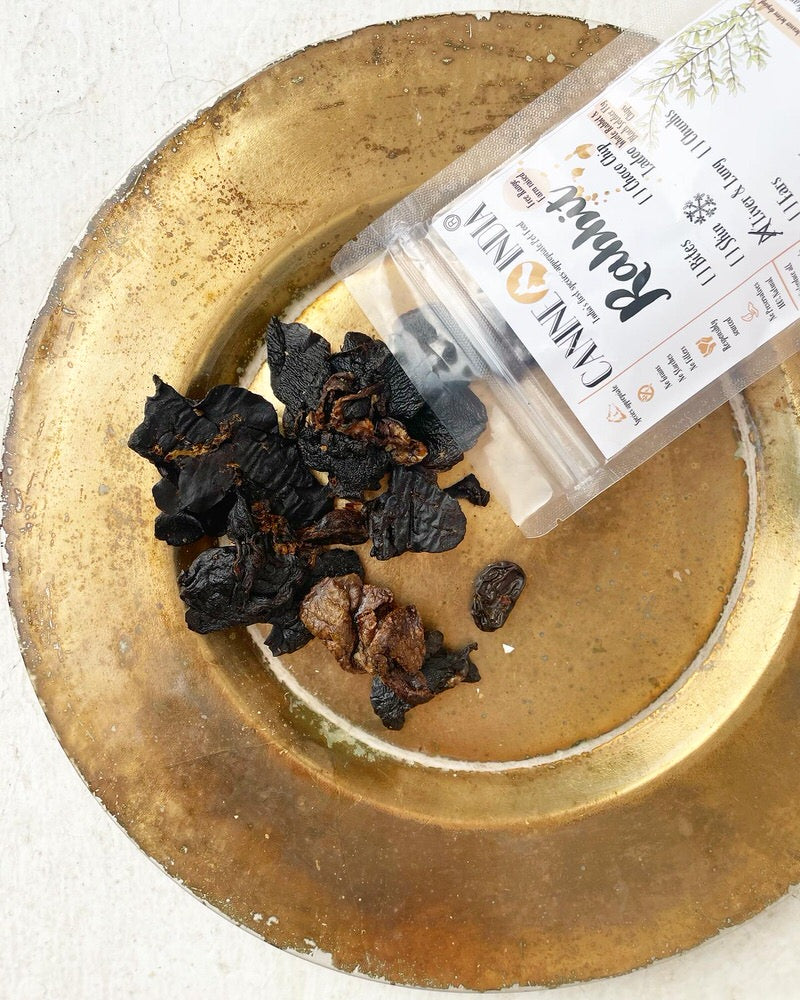 Rabbit Liver & Lung