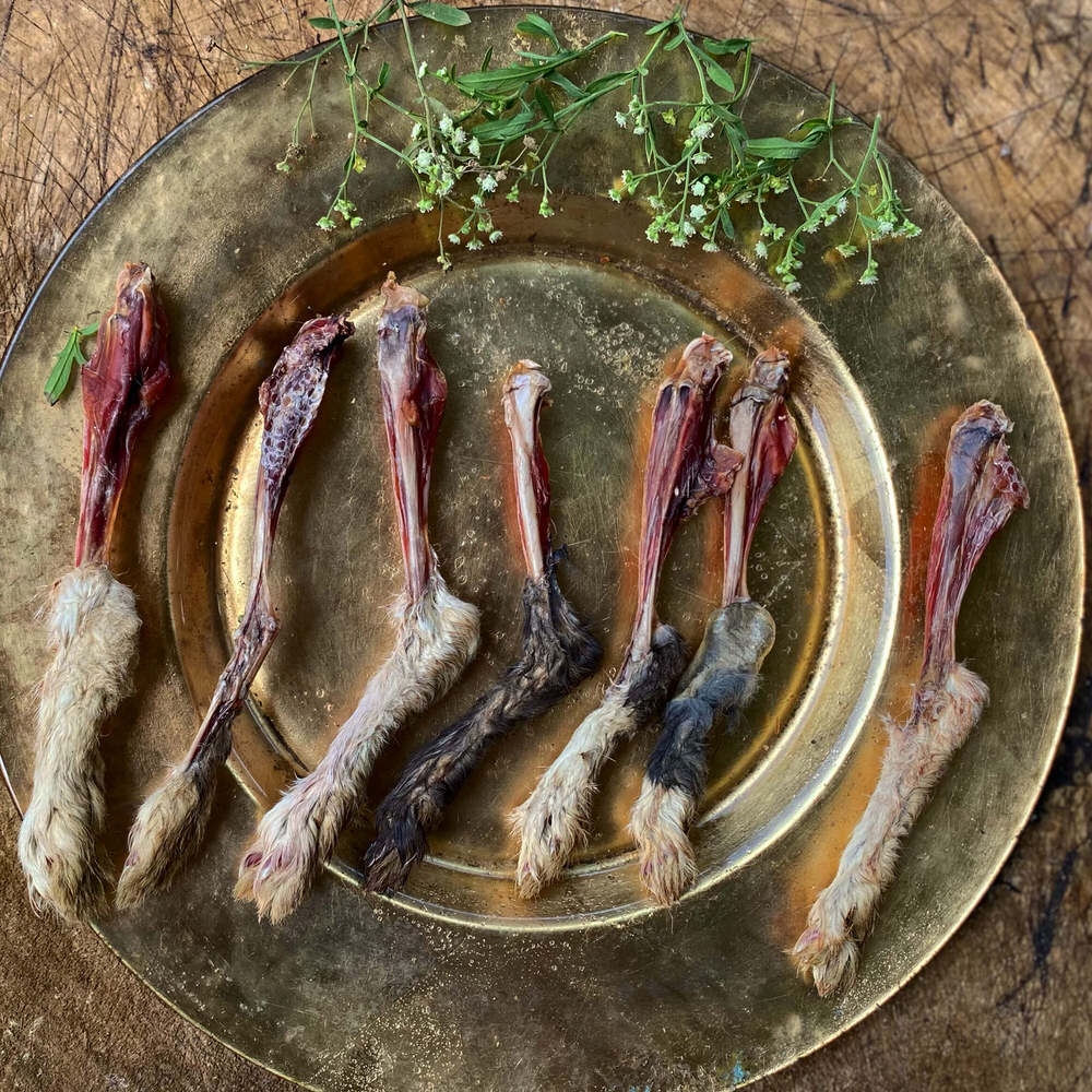 Rabbit Paw Pack - detoxing Chew