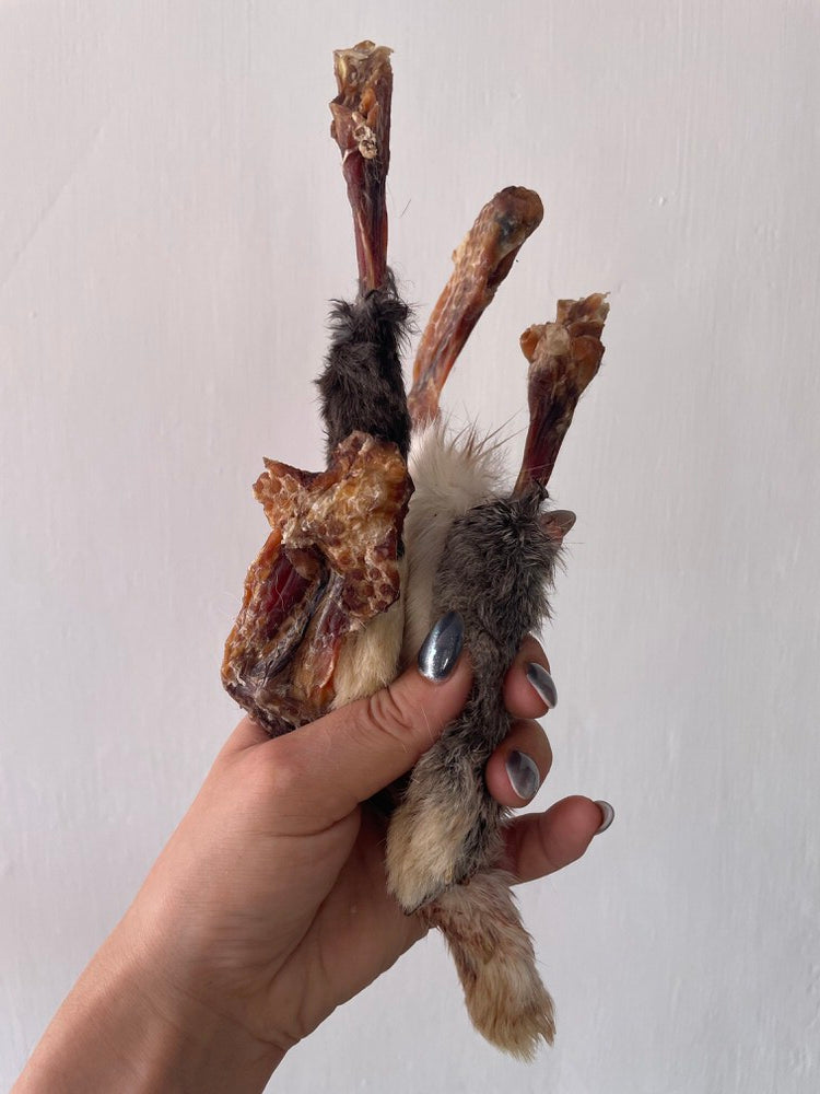 Rabbit Paw Pack - detoxing Chew