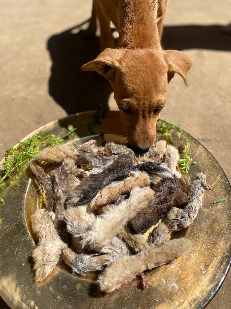 Rabbit Paw Pack - detoxing Chew
