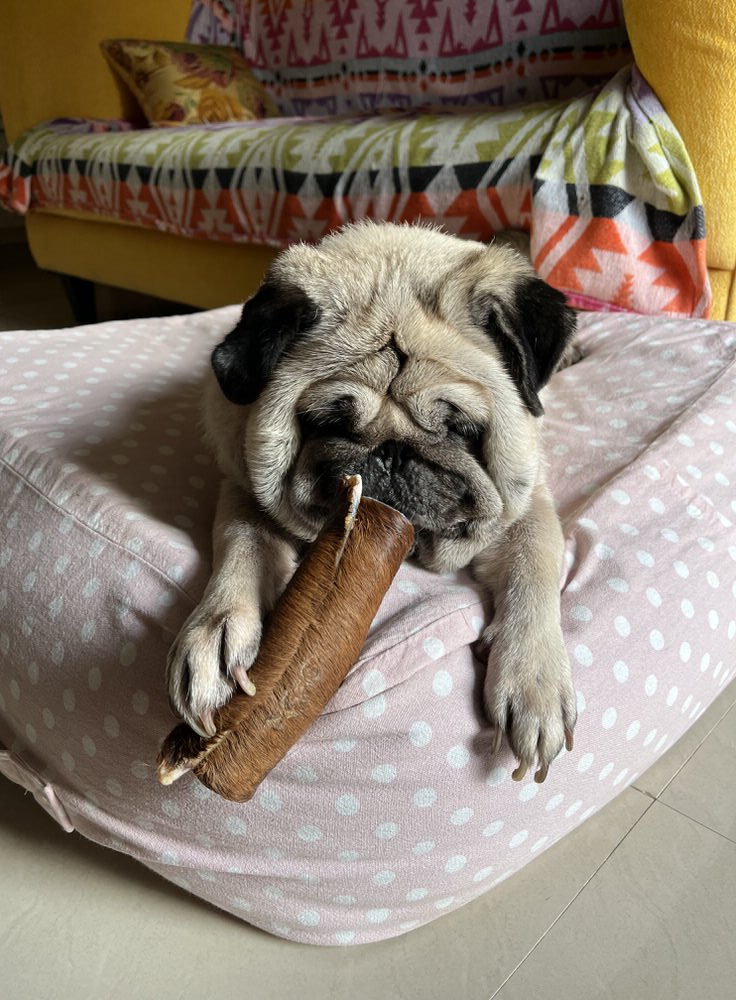 Real Hide - Boneless, Sturdy & Detoxing natural chew | 100% Skin