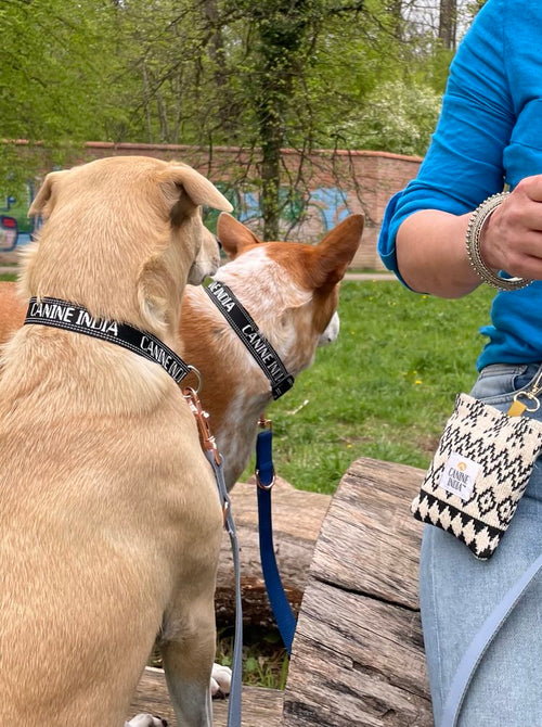 Reflective Collars with snap Buckle - handmade