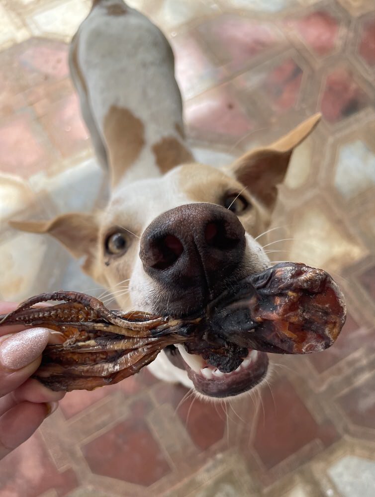 Shellfish & Seafood Variety