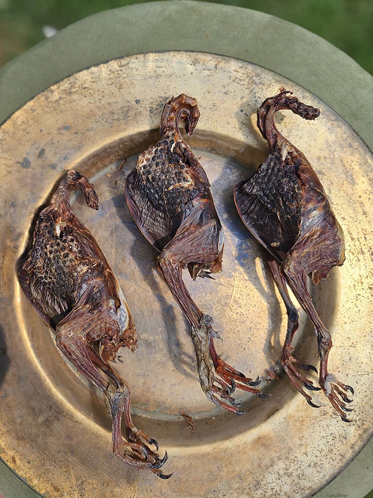 Squab Pigeon (farm raised) Whole or Wings