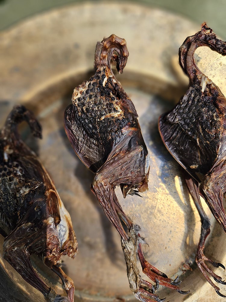 Squab Pigeon (farm raised) Whole or Wings