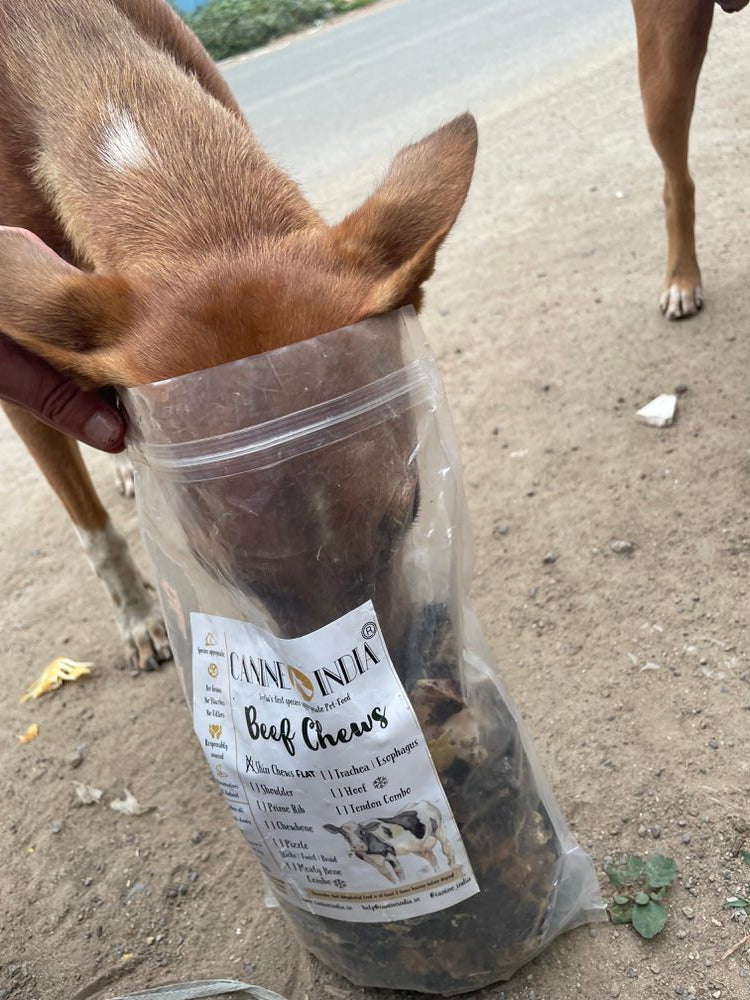 Streetie Giftbox - Dog
