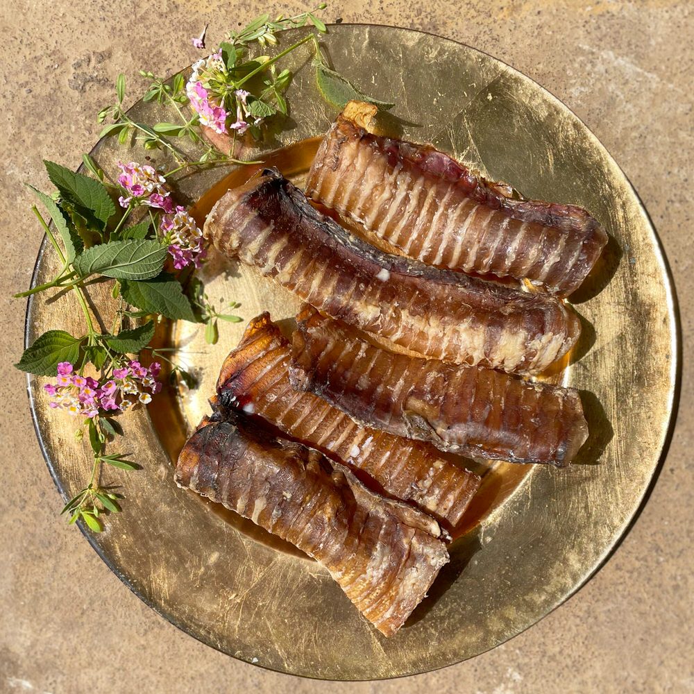Trachea Variety