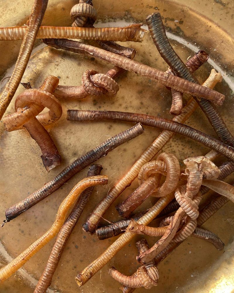 Trachea Variety