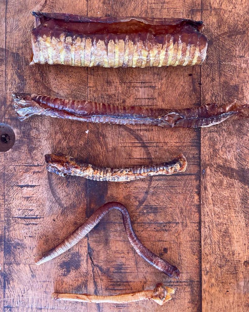 Trachea Variety