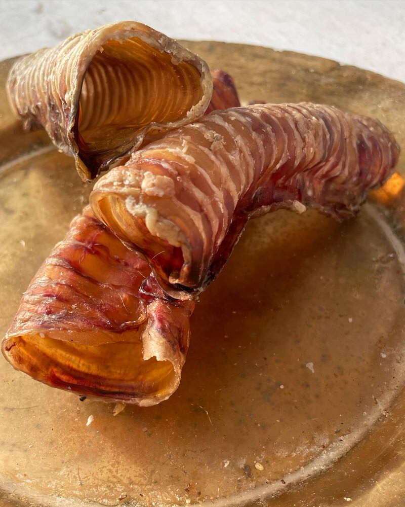 Trachea Variety