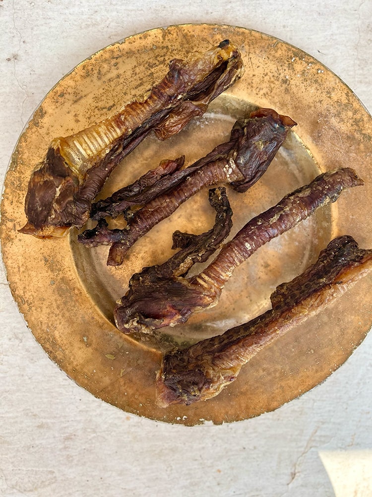 Trachea Variety