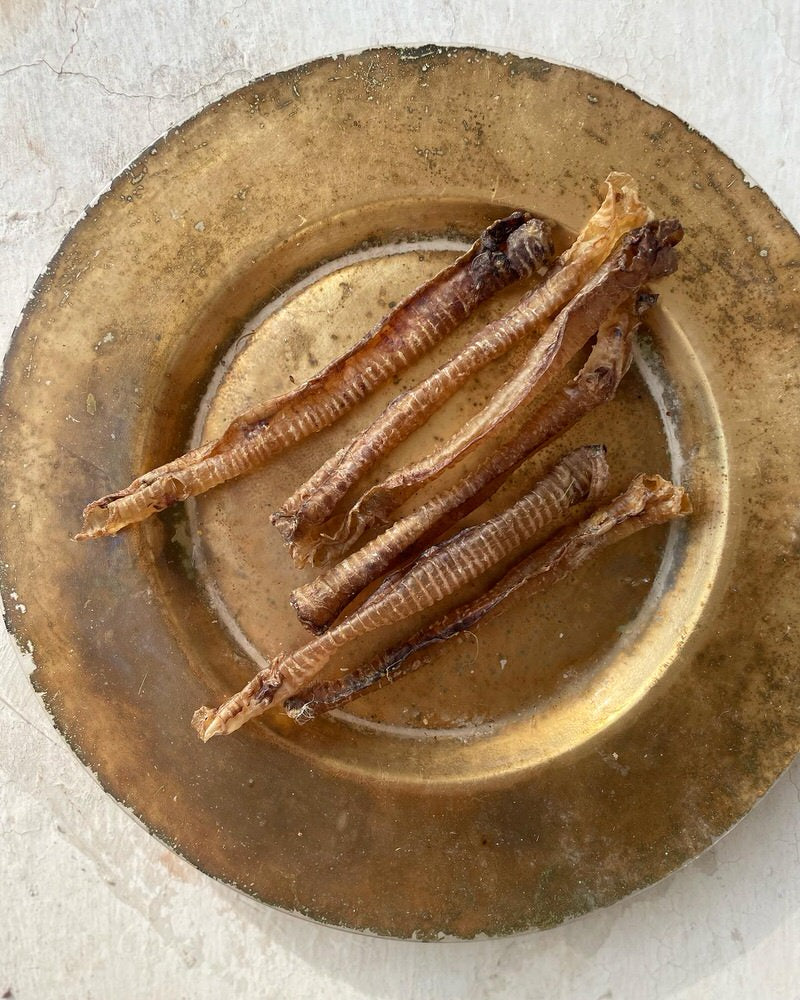 Trachea Variety