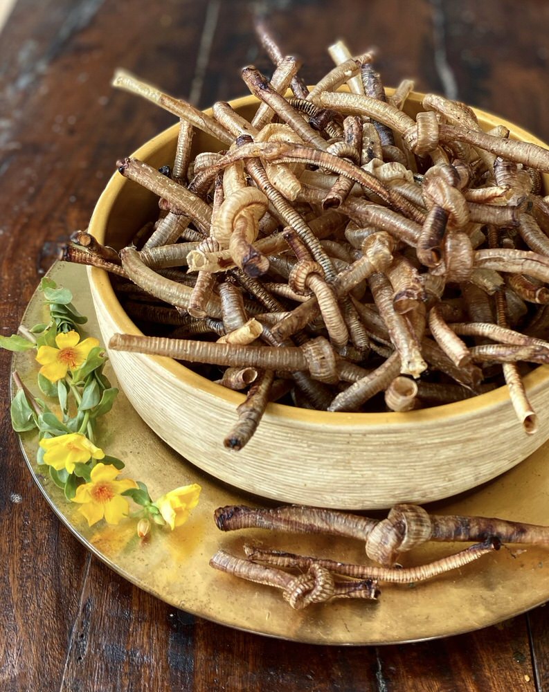 Trachea Variety