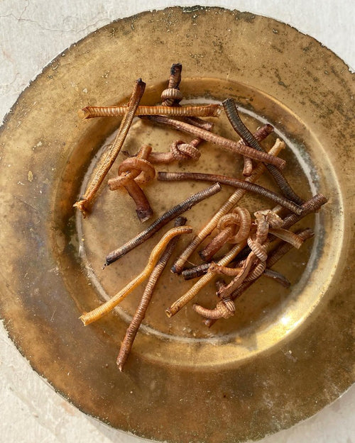 Trachea Variety