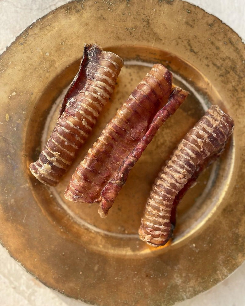 Trachea Variety