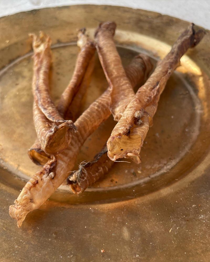 Trachea Variety