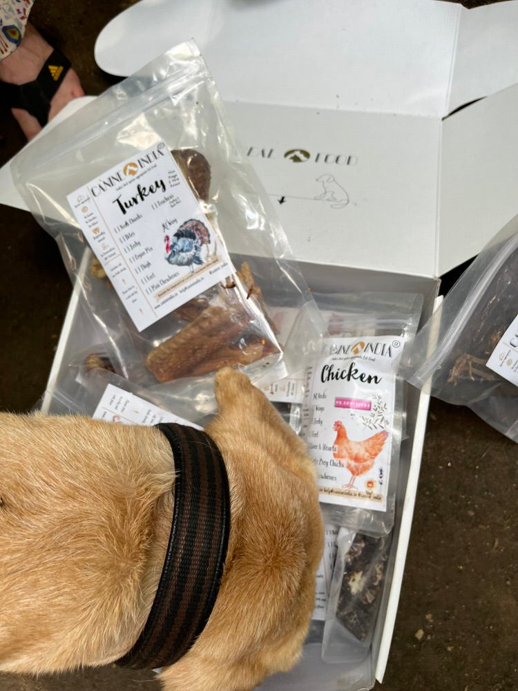 Treat Sampler