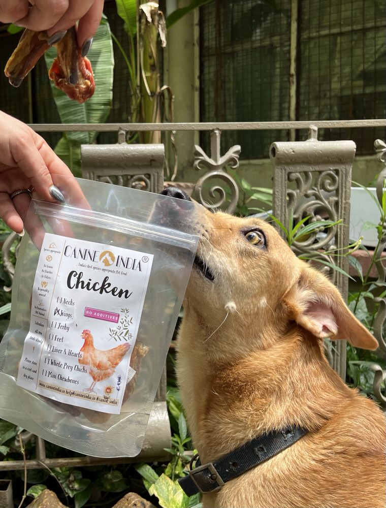 Treat Sampler