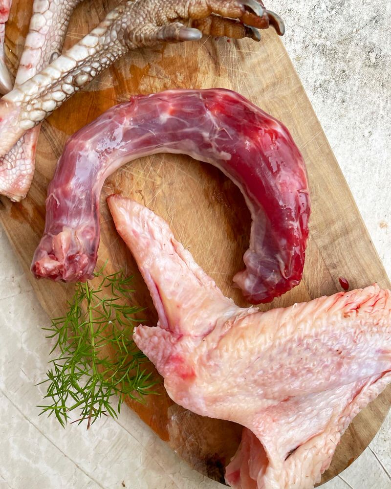 Turkey Bones