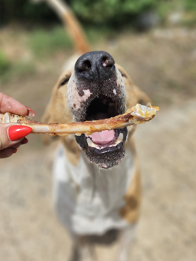 Turkey Classic Chewbones