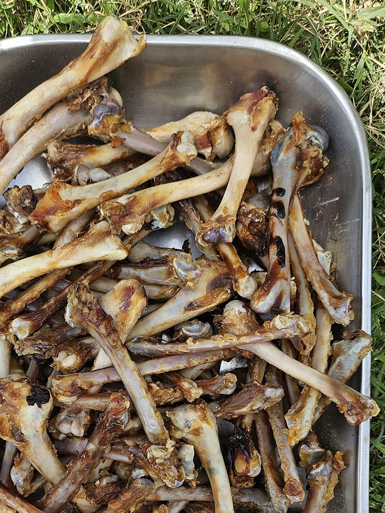 Turkey Classic Chewbones