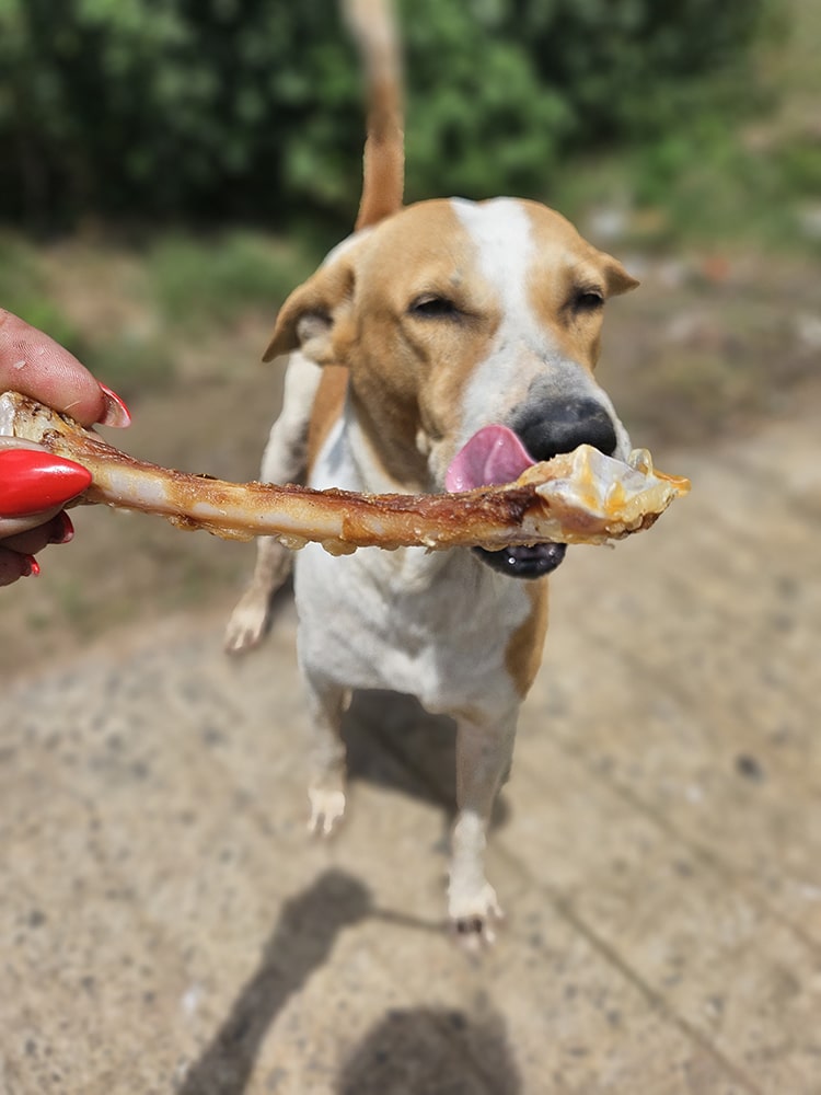 Turkey Classic Chewbones
