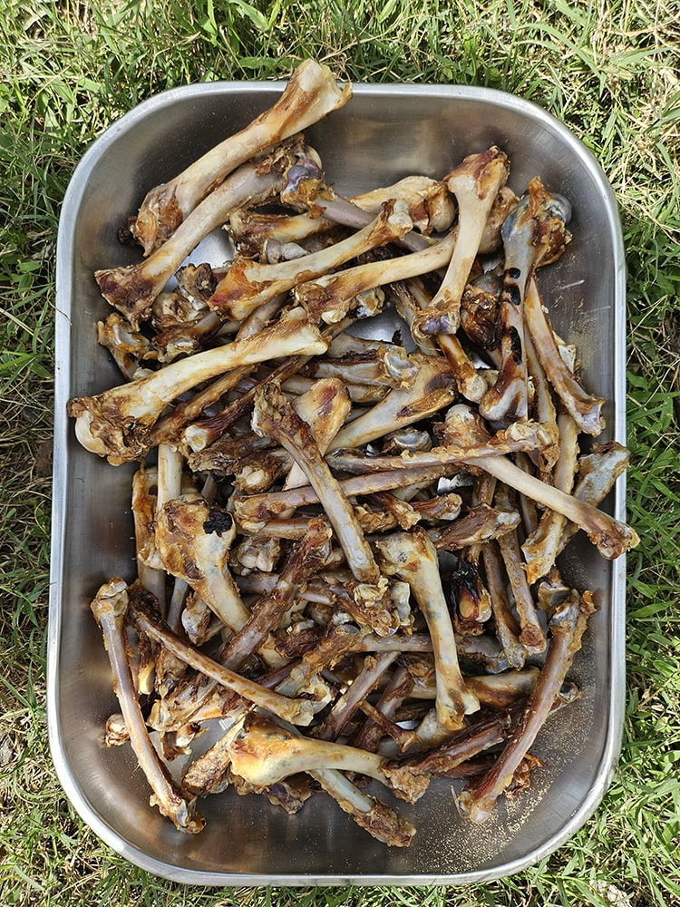 Turkey Classic Chewbones