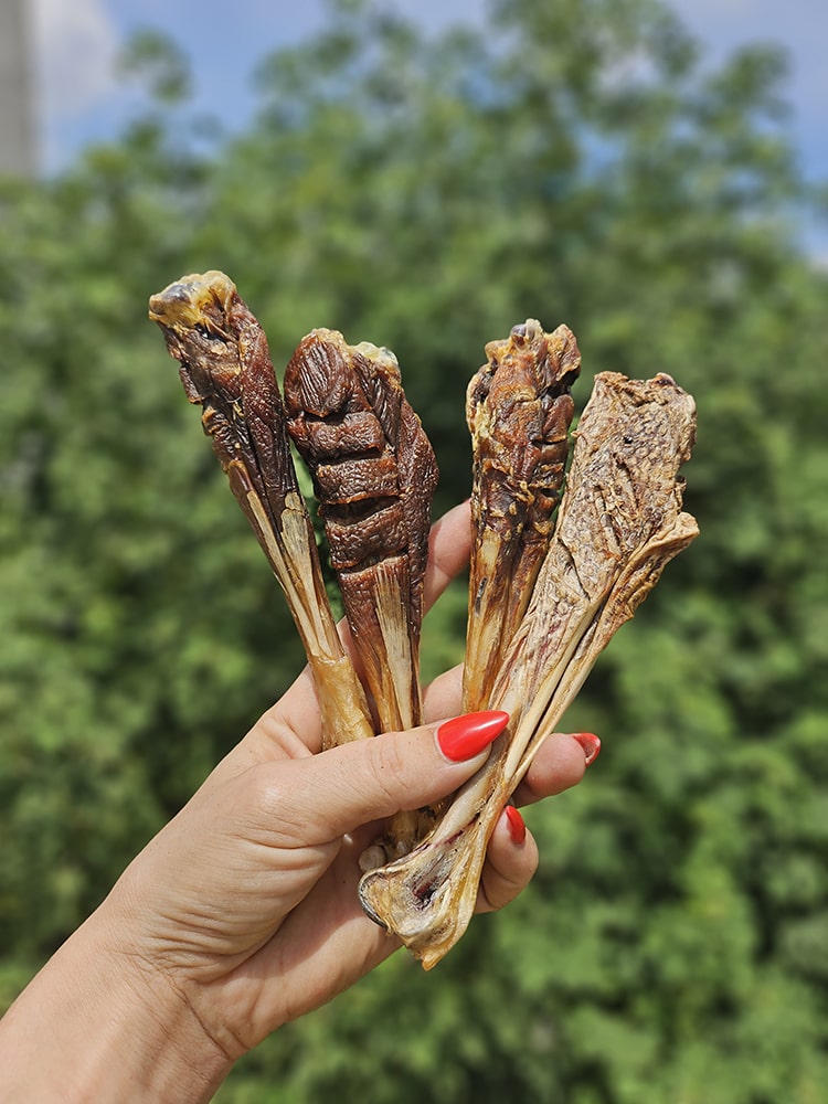 Turkey Thigh Chew